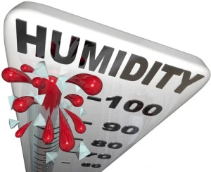 Take Action to Lower Humidity Levels and Increase Home Comfort